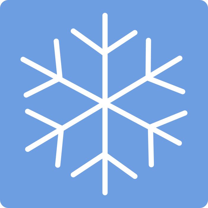 Multi Option Christmas Snowflake (M1)