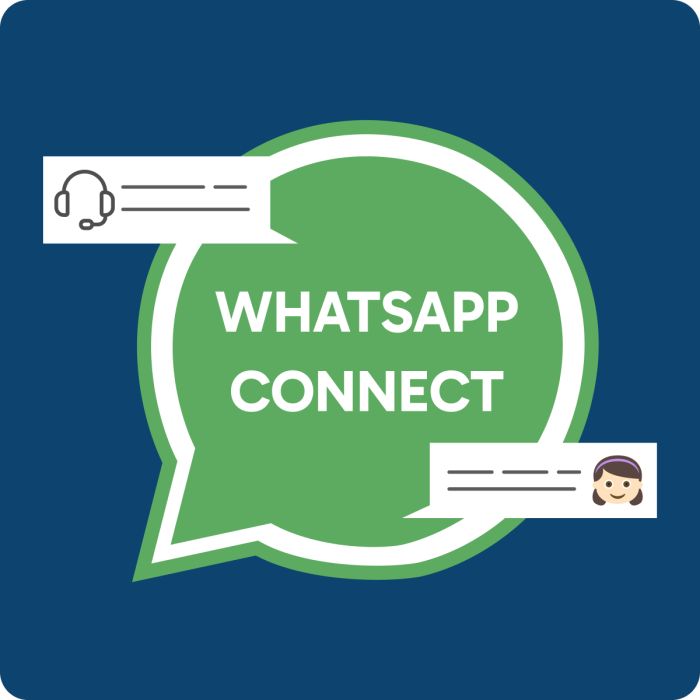 WhatsApp Connect (M1)