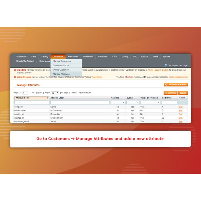Customer Attributes (M1)
