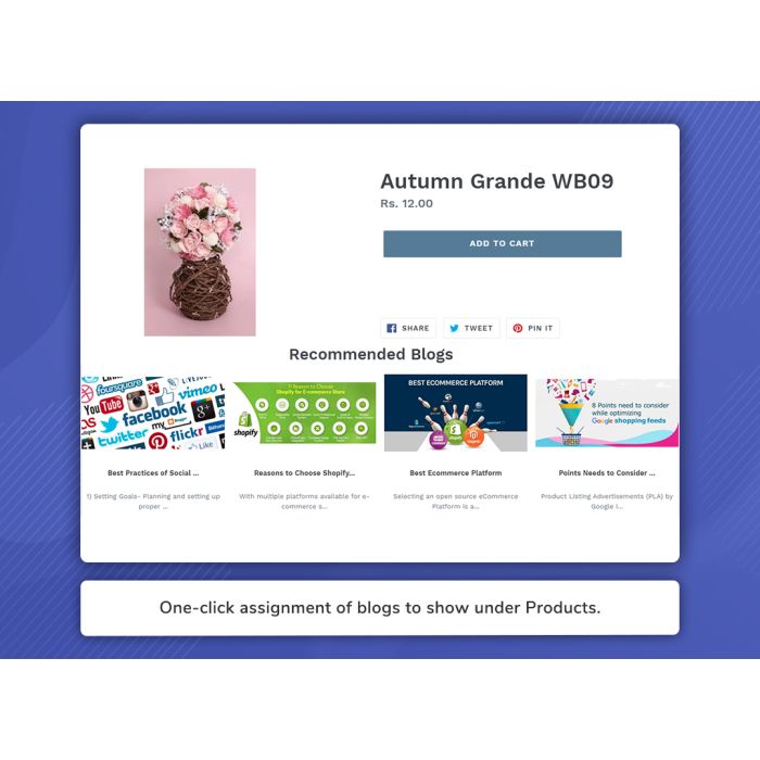Related Products & Blogs